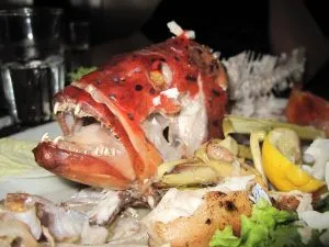 IMG_0564